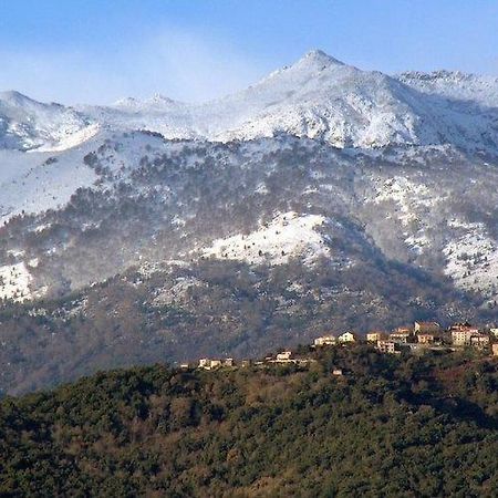 Casa Bonino Otel Prunelli-di-Fiumorbo Dış mekan fotoğraf