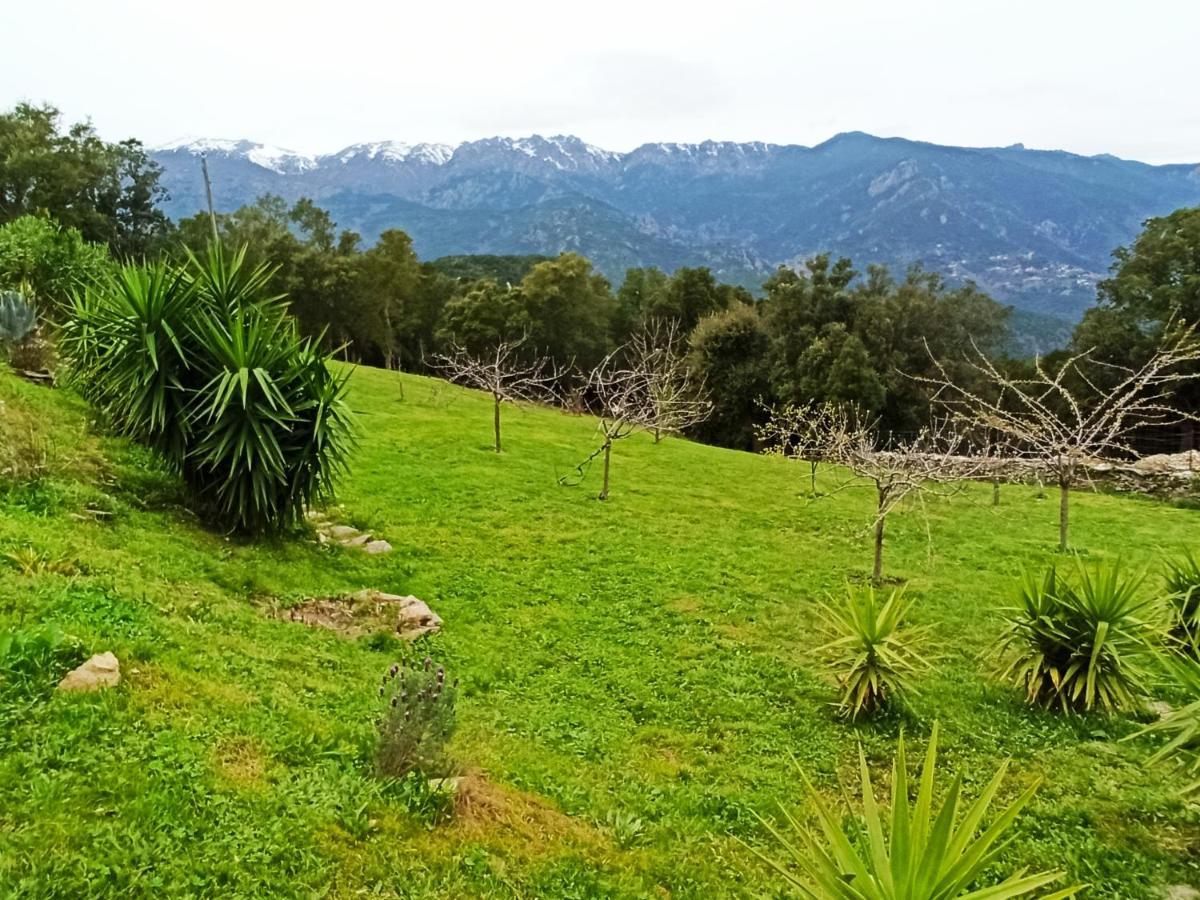 Casa Bonino Otel Prunelli-di-Fiumorbo Dış mekan fotoğraf
